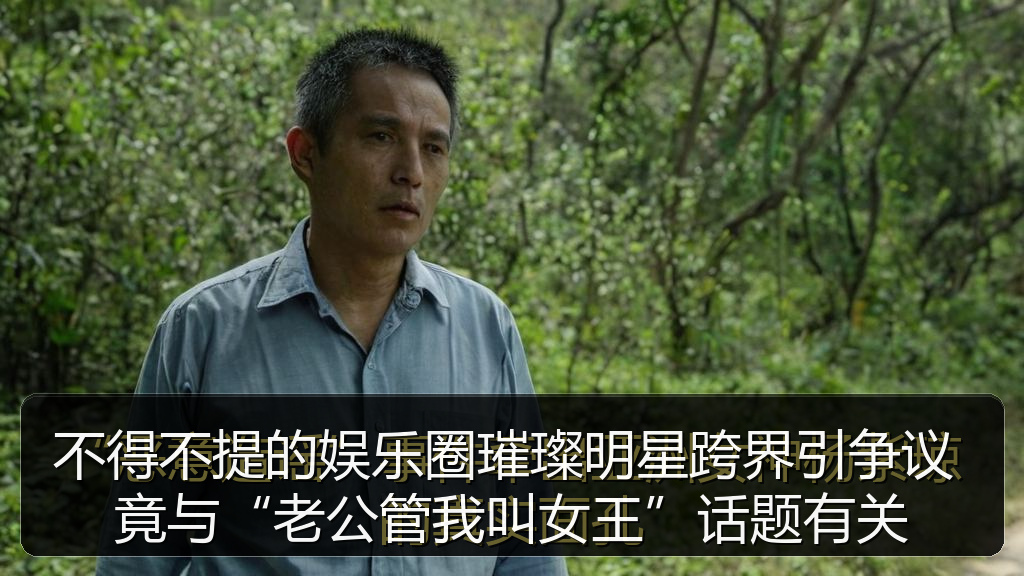 不得不提的娱乐圈璀璨明星跨界引争议 竟与“老公管我叫女王”话题有关